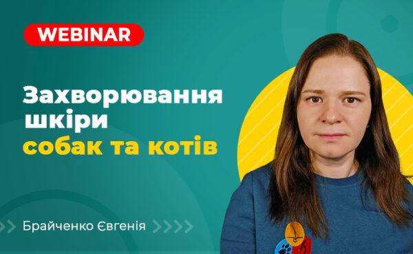 Захворювання шкіри собак та котів