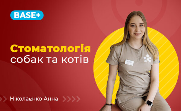 Стоматологія котів та собак. Базовий плюс.