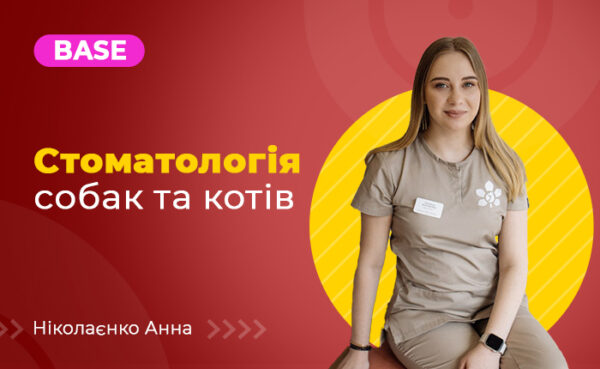 Стоматологія собак та котів Базовий рівень