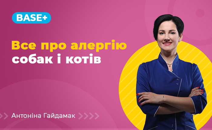 Все про алергію собак і котів