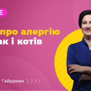 Все про алергію собак і котів Base