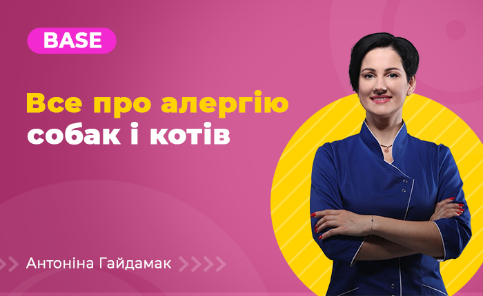 Все про алергію собак і котів Base